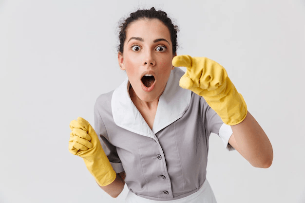  Buckets and Bows Maid Service 