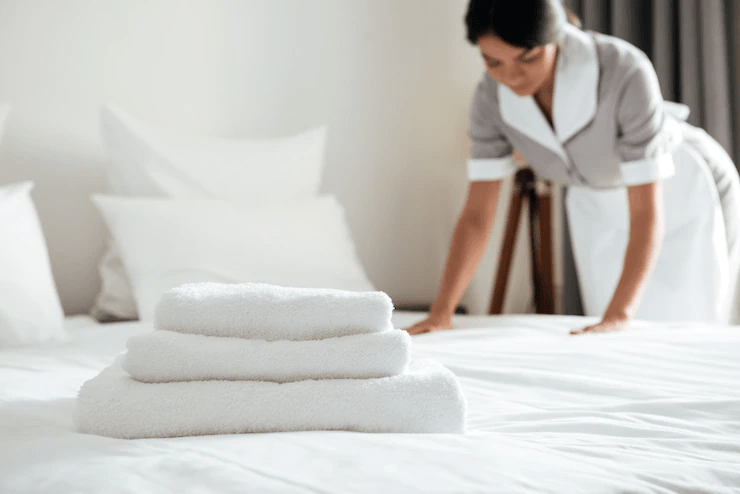 Maid Cleaning Services in Dubai,How to Hire the Top-Rated Maid Cleaning Services in Dubai?,how to hire a maid service,hire professional cleaners,top cleaning services in dubai,top 10 house cleaning service in dubai