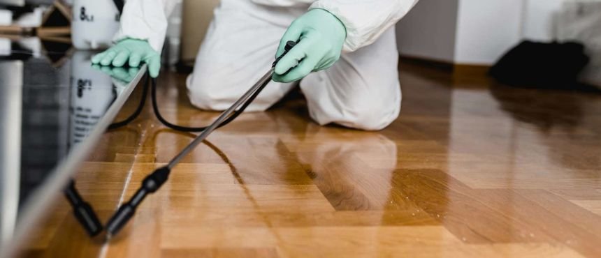 Pest control Sharjah, Professional pest control services, Pest extermination Sharjah, Residential pest control, Commercial pest control company, Termite control Sharjah, Cockroach control services, Rodent extermination Sharjah, Bed bug removal services, Ant control Sharjah, Eco-friendly pest control,