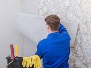 expert wallpaper  fixing