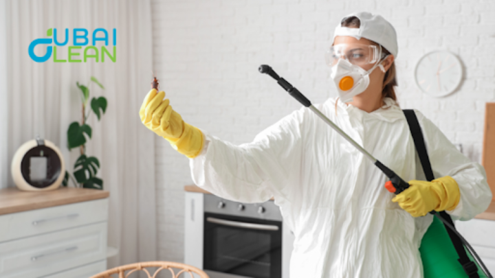 Office Pest Control Dubai