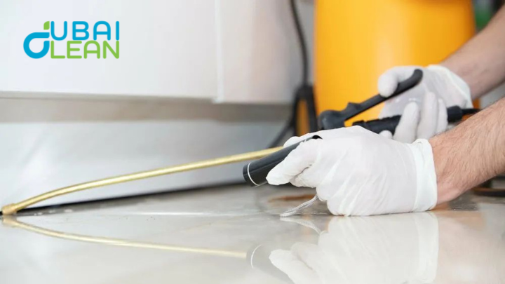 Office Pest Control Dubai