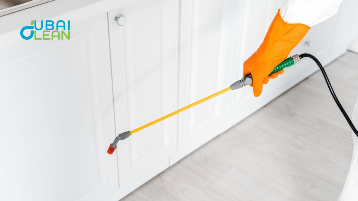 Villa & Home Pest Defense Dubai