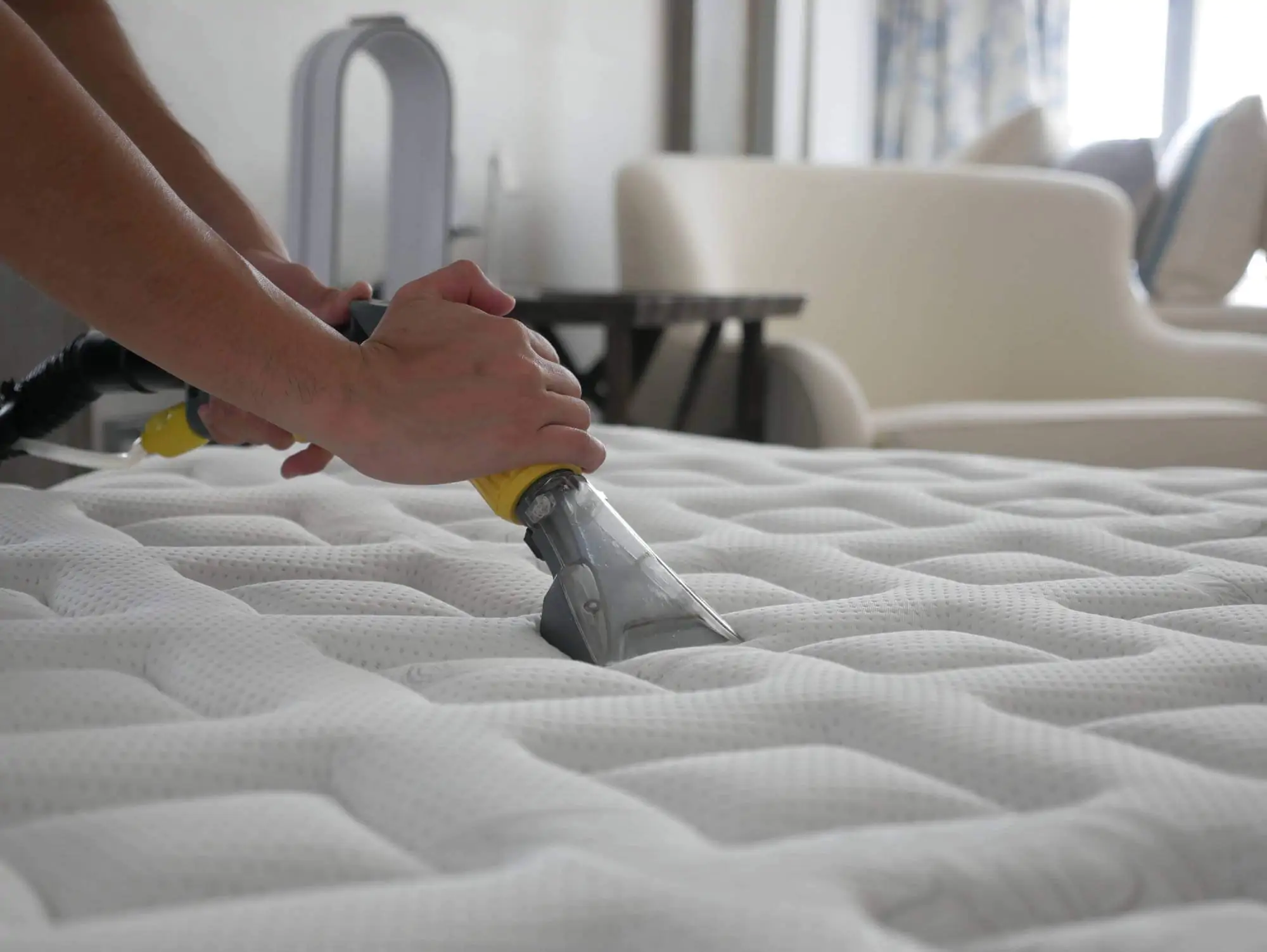 mattress cleaning cost
