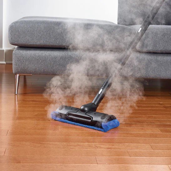 home cleaning steam