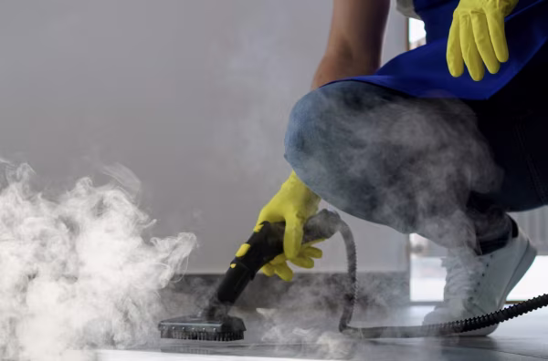 steam deep clean