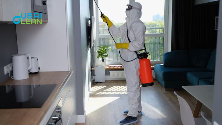 Home pest control Dubai