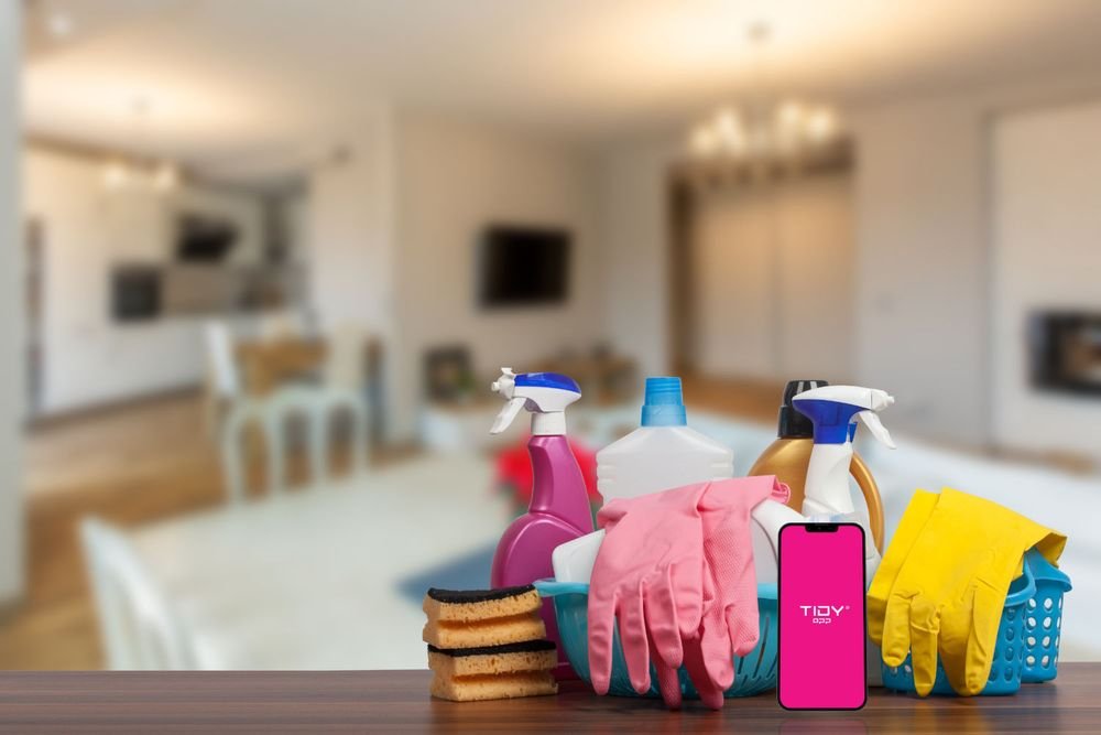 professional villa cleaning dubai