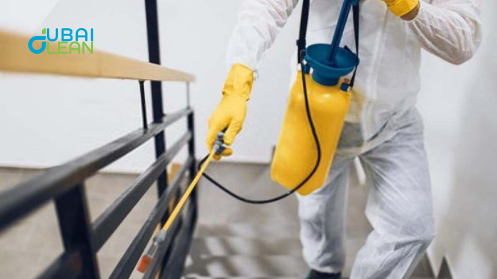 How to Get Rid of Cockroaches in Dubai?