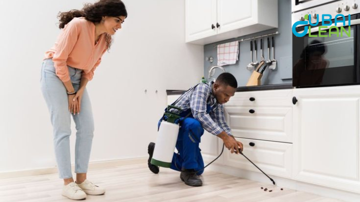 DubaiClean pest control services