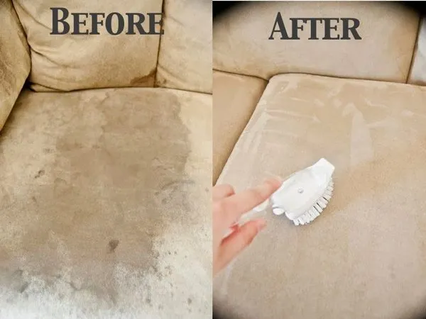 before and after of professional upholstery cleaning