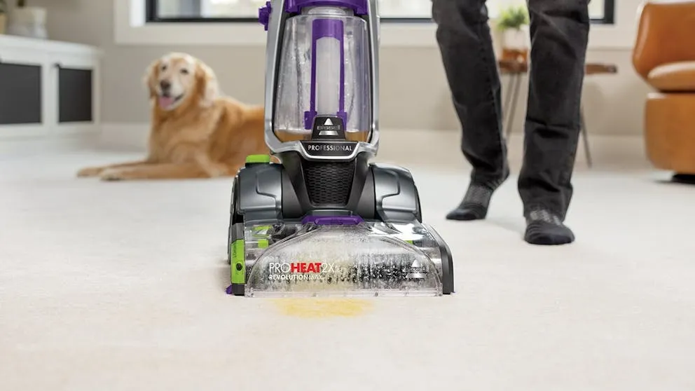 pet carpet cleaner machine