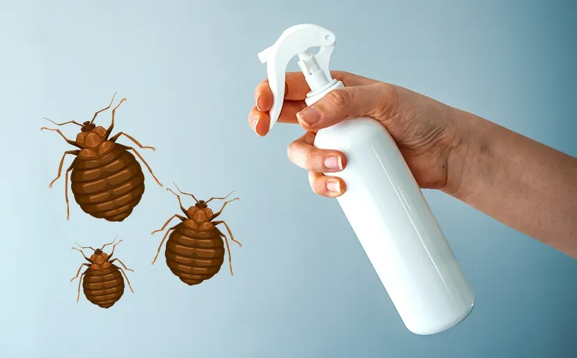 what kills bed bugs instantly