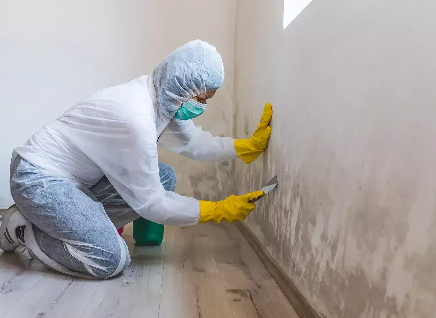 How to Clean Mold from Bathroom Ceiling | Dubai Clean
