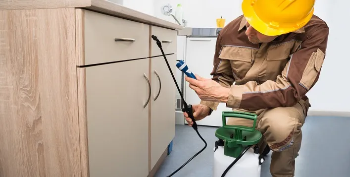 Pest Control Dubai Near Me | Safe & Fast Service