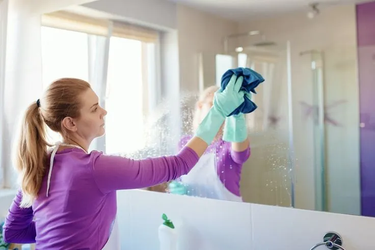 What are the 7 steps of cleaning?