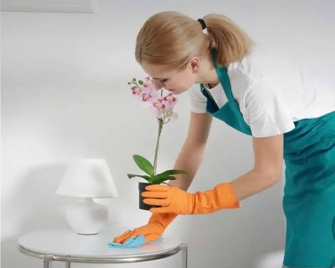 00c54ee5c108c9d9a341c87f92054916