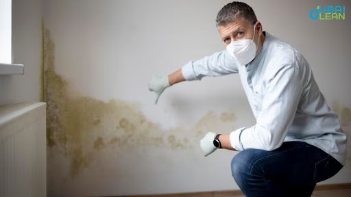 Professional mold cleaning services for a mold-free home.