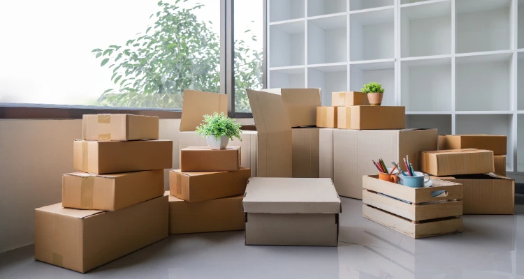 untitled design 2025 06 27t120337.010