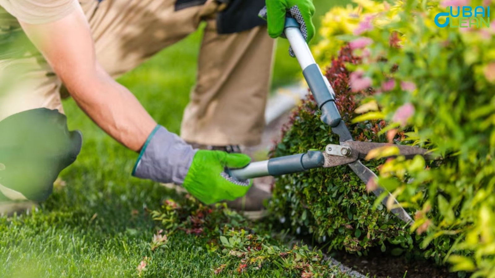 Artificial Grass Cleaning Tips for a Fresh Lawn"