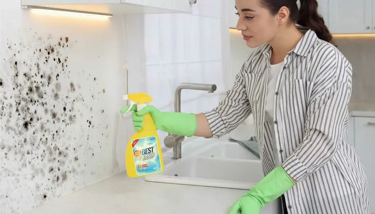 How to clean mold on walls