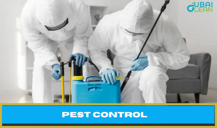 Pest control dubai near me