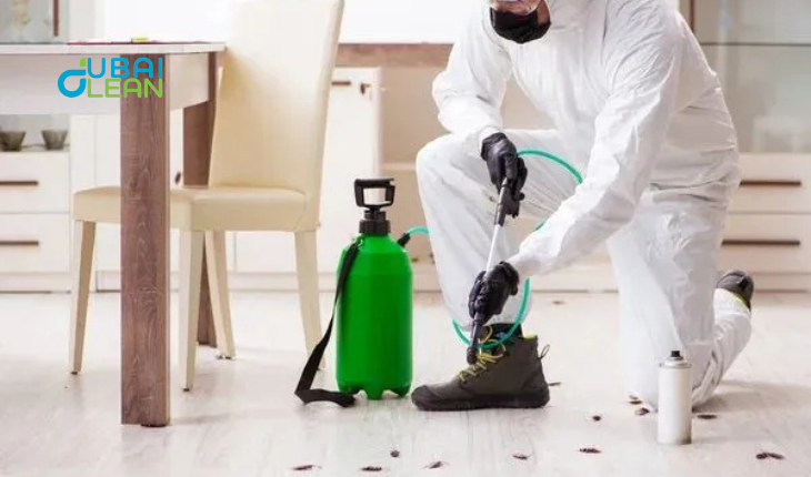 Dubai Pest Control Near Me – Same-Day Service from AED 300