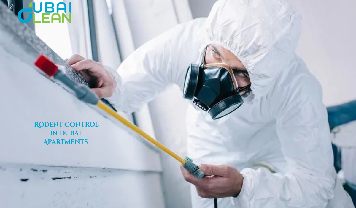 Affordable Rodent Control Services for Dubai Apartments