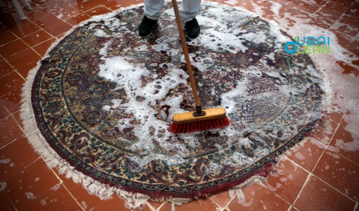 How To Clean Mold From Carpet | Expert Tips by Dubai Clean