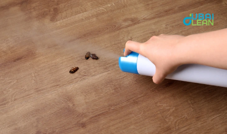 cockroach infestation