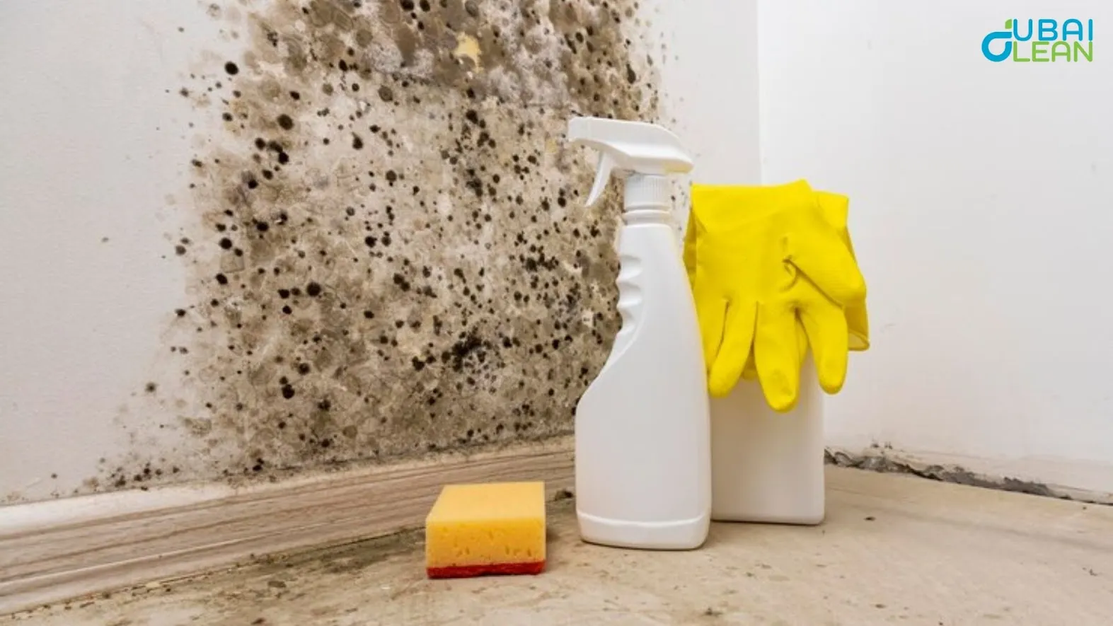 How to Deal with Humidity and Mold in Dubai’s Basement Villas - Expert Tips