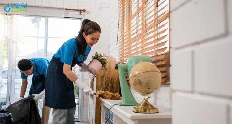 Professional residential cleaning