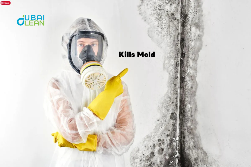 What Kills Mold Permanently?