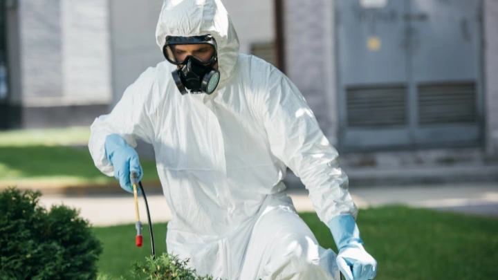 Organic Pest Control for Villas Cost in Dubai