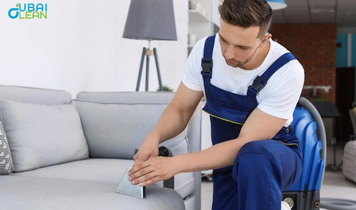 Remove Pet Hair from Sofas in Dubai – Easy & Fast