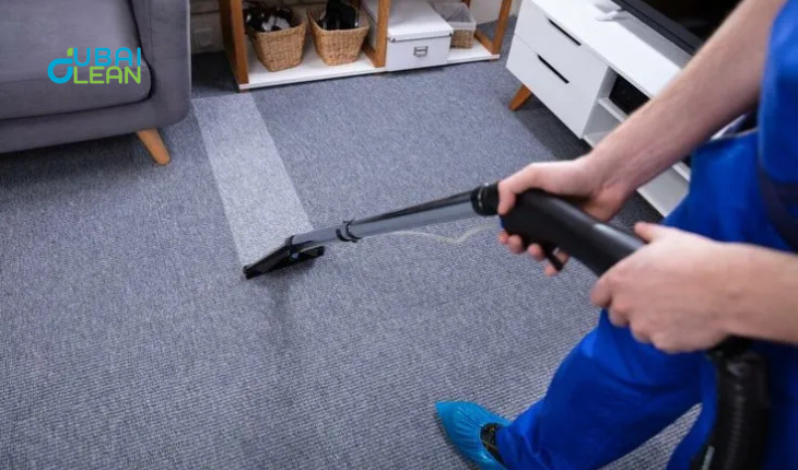 Complete Carpet Cleaning Guide | Top Cleaners, Machines & Tips