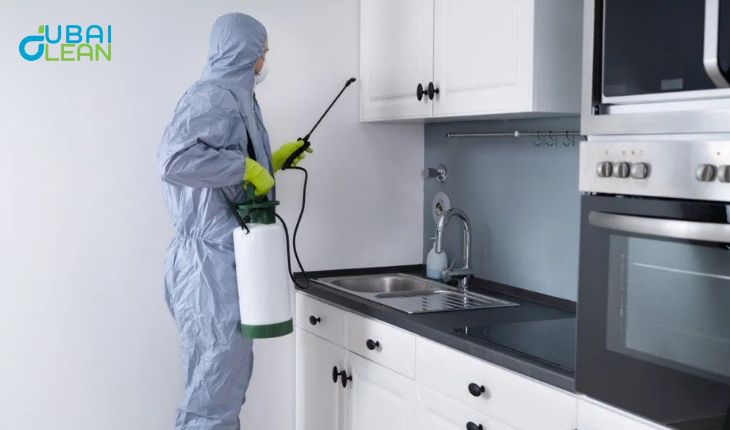Best Pest Control Services | Home, Commercial & Expert Tips