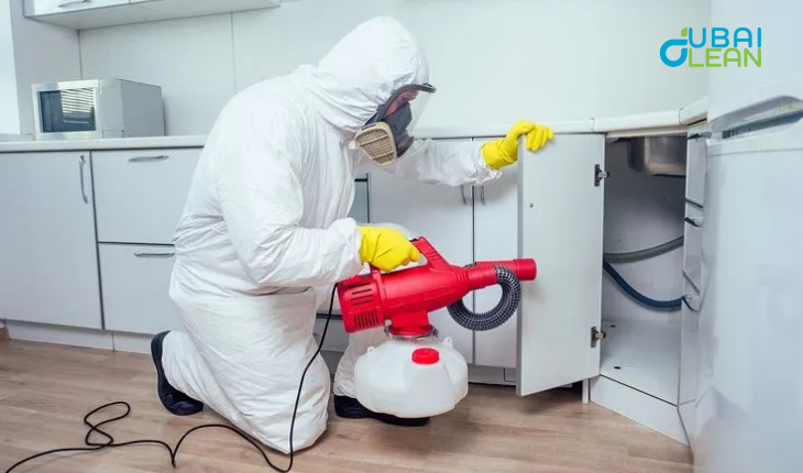 Eco-friendly Pest Control Services in Dubai