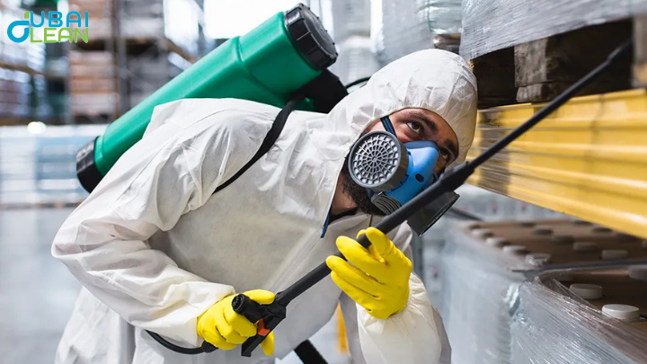 Best Pest Control Services | Home, Commercial & Expert Tips