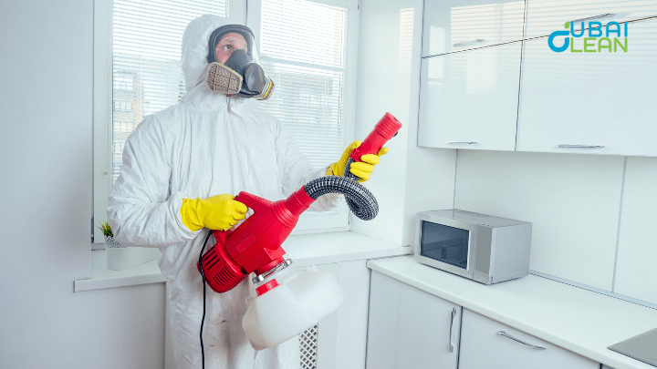 Pest Control Dubai