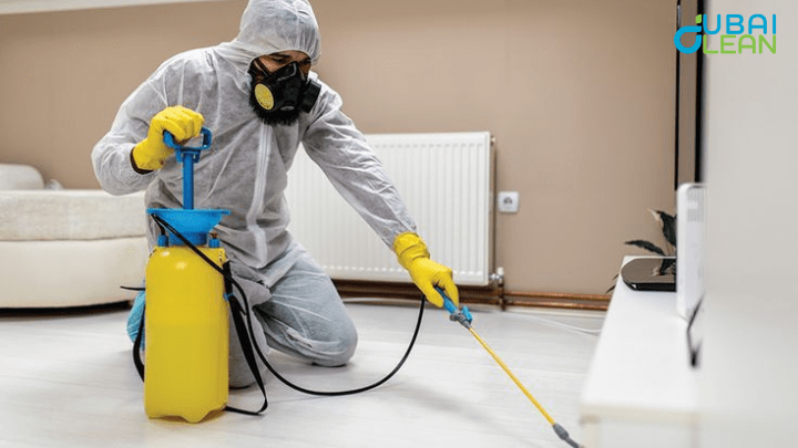 Best Cockroach Killer service in Dubai