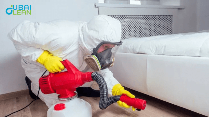 Expert Mold Removal in Dubai