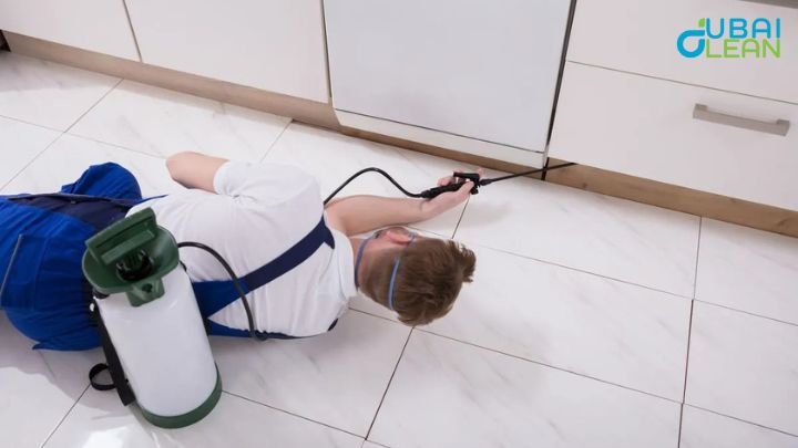 Cockroach-Free Homes in Dubai