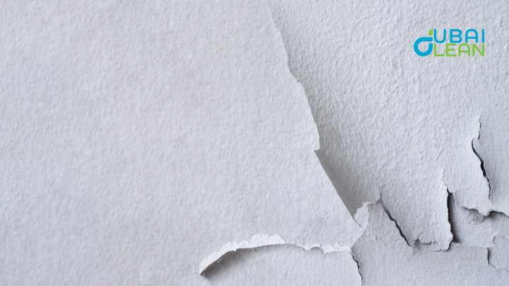 Blistering in Paint Dubai