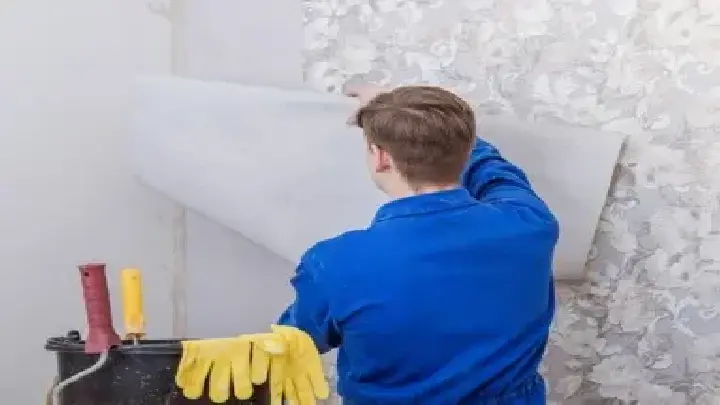 dcs vinyl wrapping services