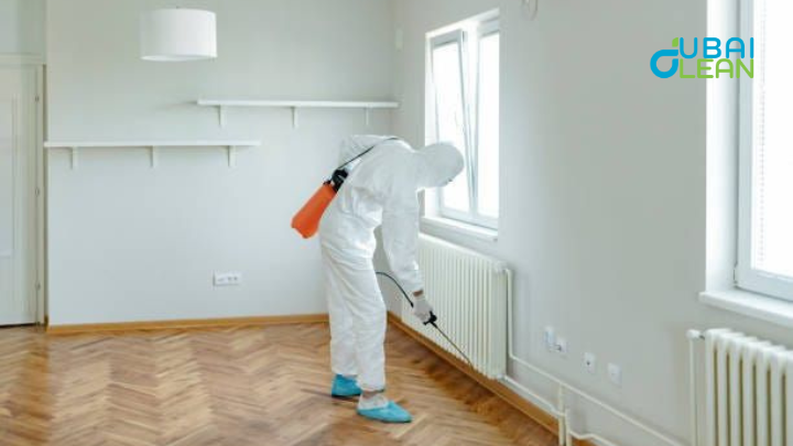 Apartment Pest Treatments UAE