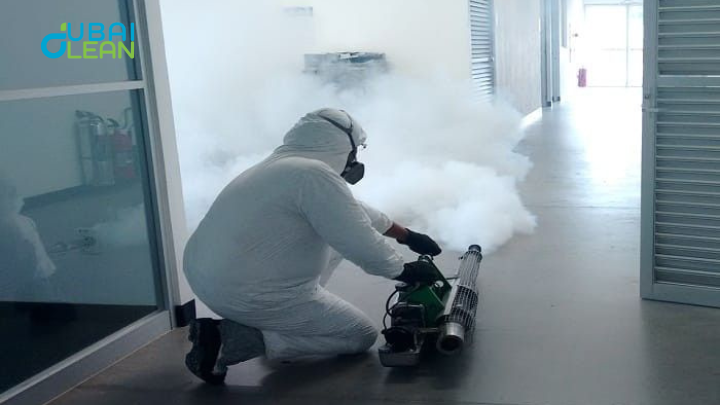 Pest infestation problems in Creek Rise Dubai